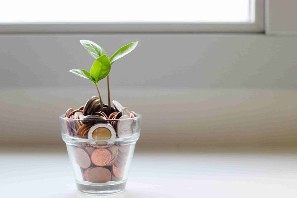 Lucky-Plants-for-Home-Money Plant