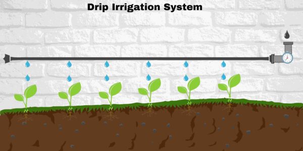 Drip-Irrigation-System